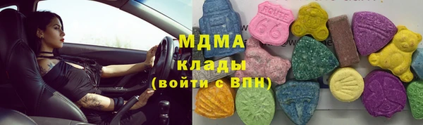 хмурый Алексин