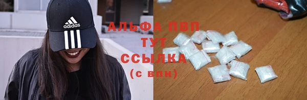 хмурый Алексин