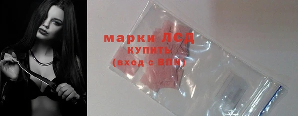 хмурый Алексин