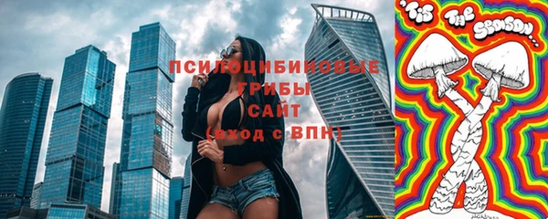 хмурый Алексин