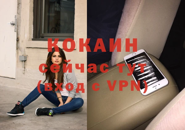 хмурый Алексин