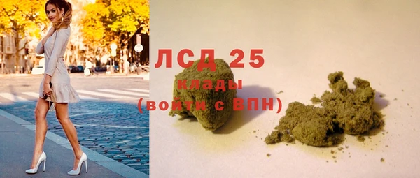 хмурый Алексин